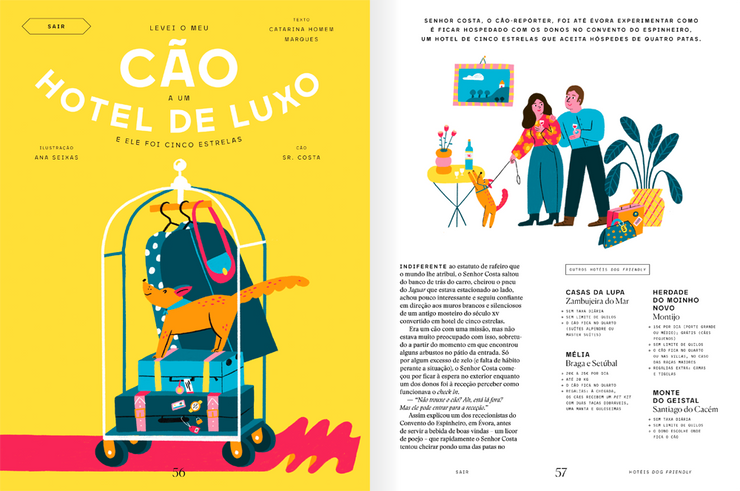 Observador Lifestyle N.4